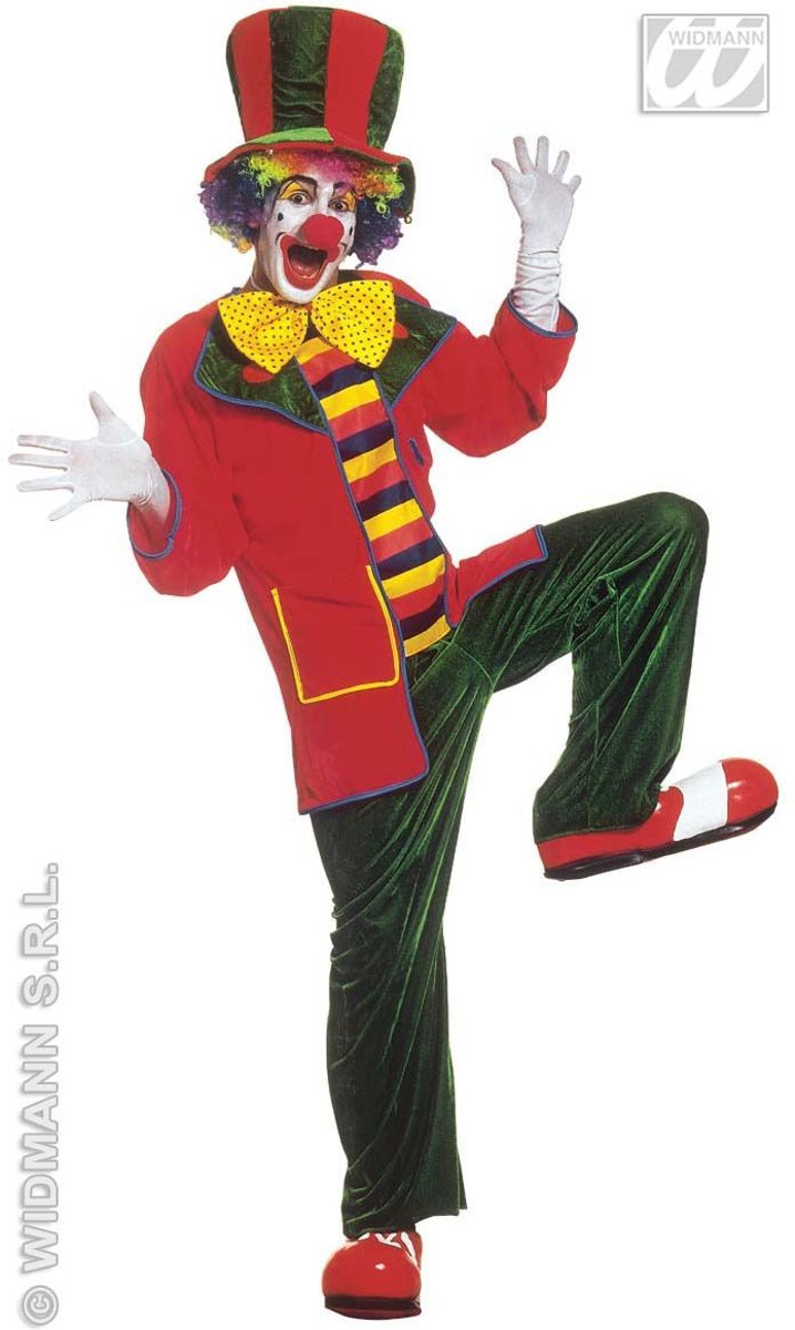 Clown & Nar Kostuum | Clown, Fluweel Top Hat Kostuum Man | Large | Carnaval kostuum | Verkleedkleding